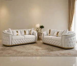 Luxury 2 Piece Sofa Set for Modern Living Rooms