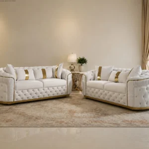 Luxury 2 Piece Sofa Set for Modern Living Rooms